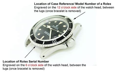 vetroplastica seriali rolex|rolex model lookup.